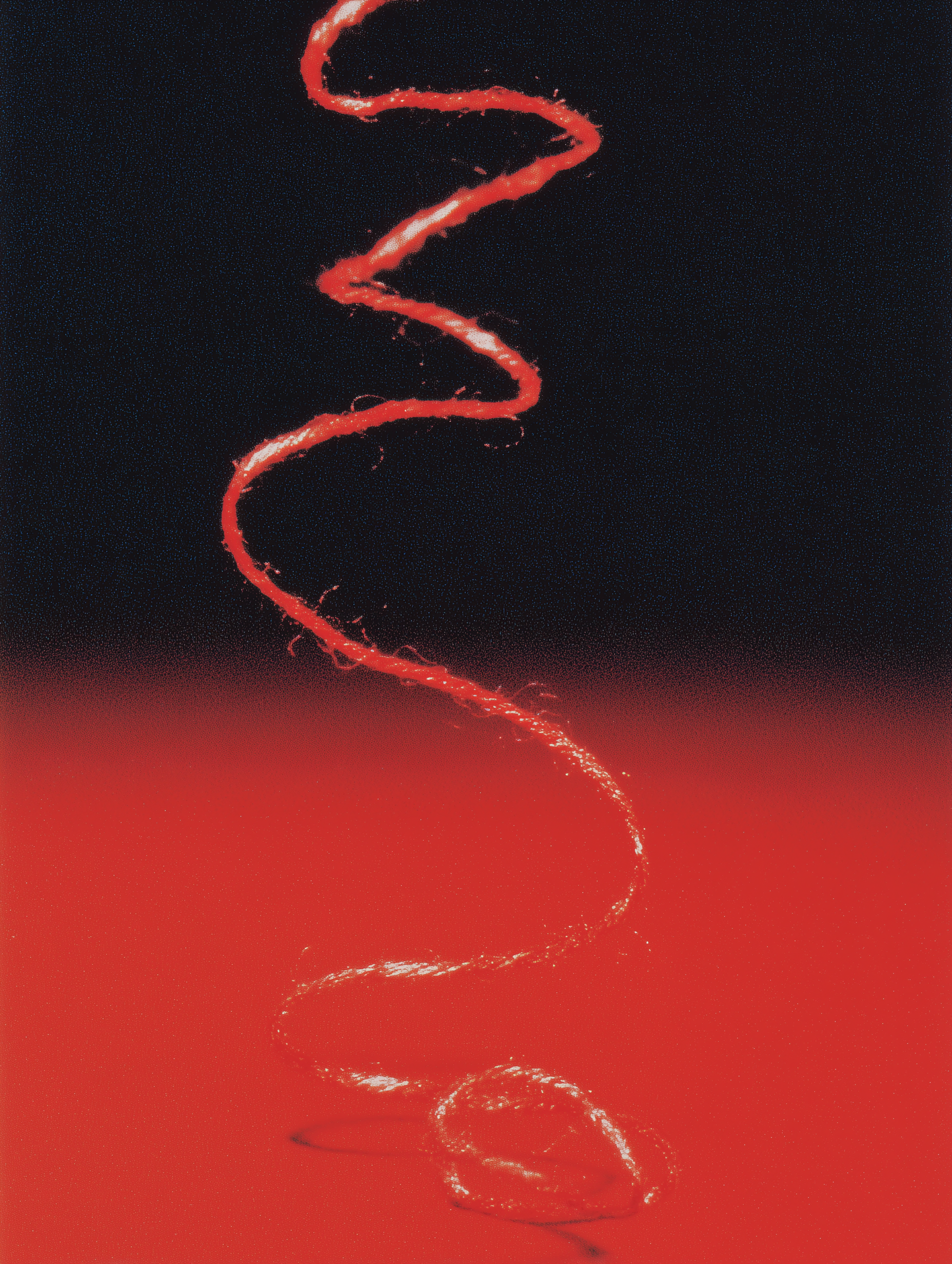 Red wavy line on a black and red gradient background